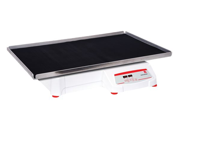 美國奧豪斯，OHAUS，脫色搖床，回旋振蕩器，圓周振蕩器，大負載圓周式搖床，SHHD6825DG