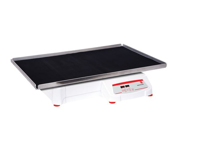 美國奧豪斯，OHAUS，脫色搖床，回旋振蕩器，圓周振蕩器，大負載圓周式搖床，SHHD6850DG